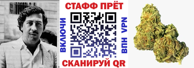 Наркошоп купить Каннабис  Галлюциногенные грибы  Гашиш  Меф  Alpha PVP  Курлово