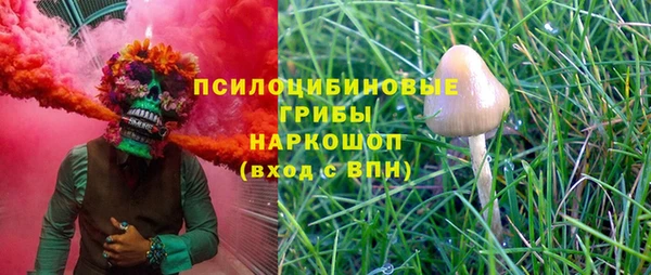 твердый Карталы