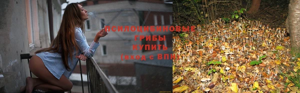 mix Касимов