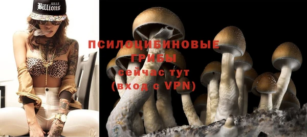 MDMA Premium VHQ Карпинск