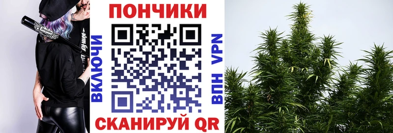 Купить где  Курлово  Шишки марихуана планчик 